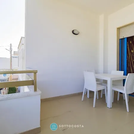 Santa Rita Flat - * 산포카